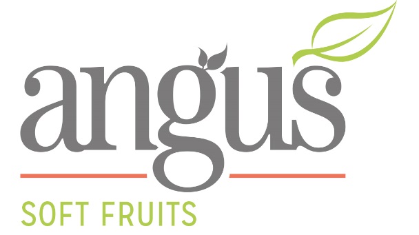 Angus Soft Fruits's avatar