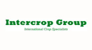Intercrop Group's avatar