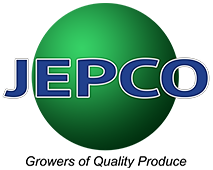 JEPCO Marketing Ltd's avatar