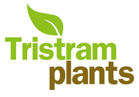 Tristam Plants's avatar