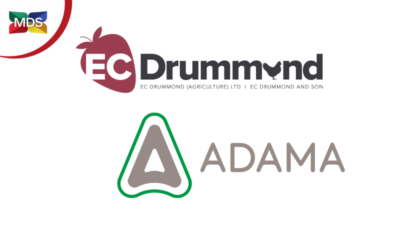 New Members: EC Drummond and ADAMA on using Trainees for diverse roles within a business
