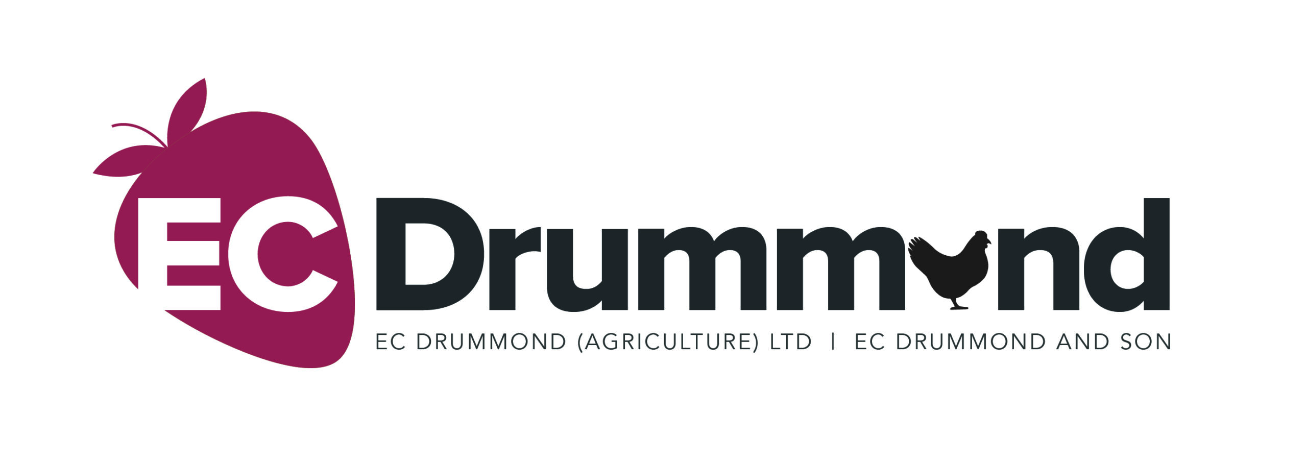 EC Drummond Group's avatar