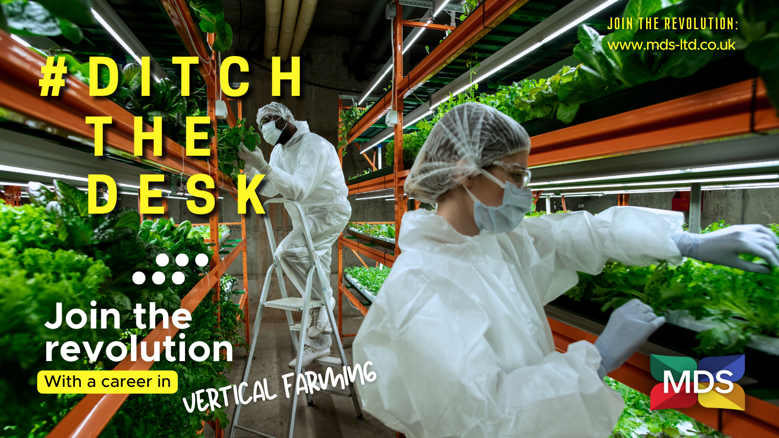 A photo of 2 people in PPE working in a vertical farm. What is Vertical Farming?