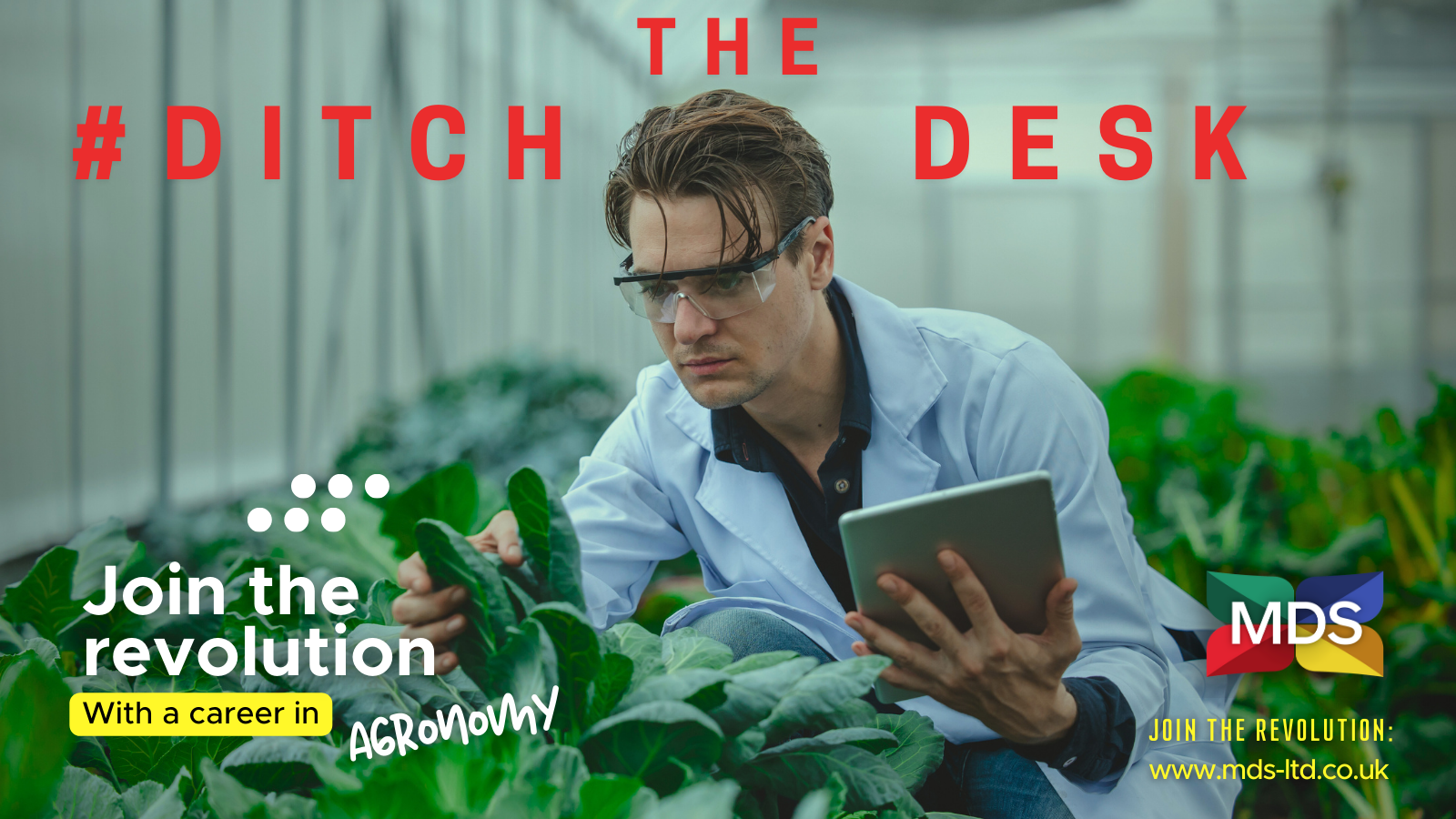 Photo of an agronomist with an ipad looking at plants: What is Agronomy?