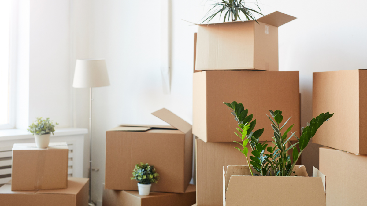 Image of moving boxes in a house, in a secondment relocation process.