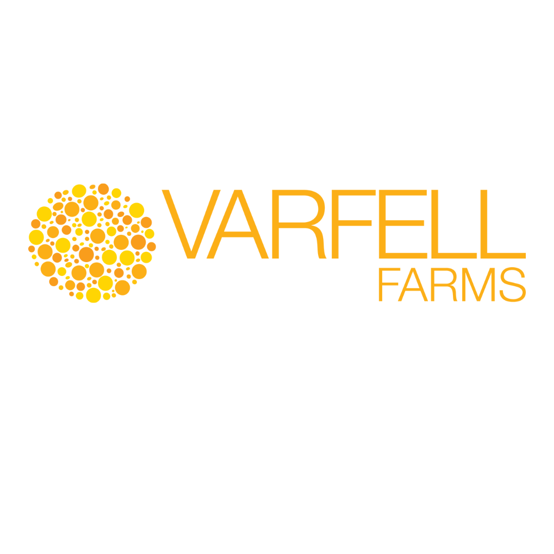 New Member: Varfell Farms – The Beating Heart of Daffodil Production and Growing Future Leaders